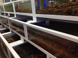 가게 입구 양쪽에 큰 수족관이 있다