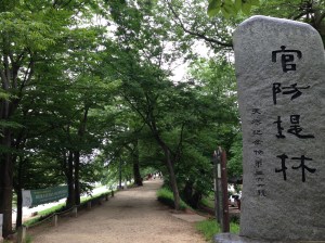 담양천의 홍수를 막기 위해 인공적으로 만든 숲이라고 한다.