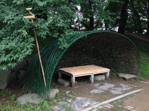 관방제림 산책로